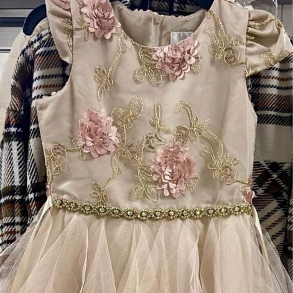 Girls Party Dress